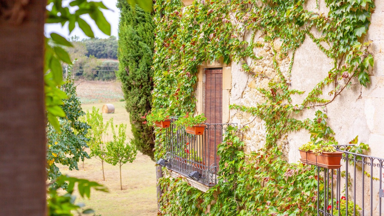 Photo of Outdoor in Corca