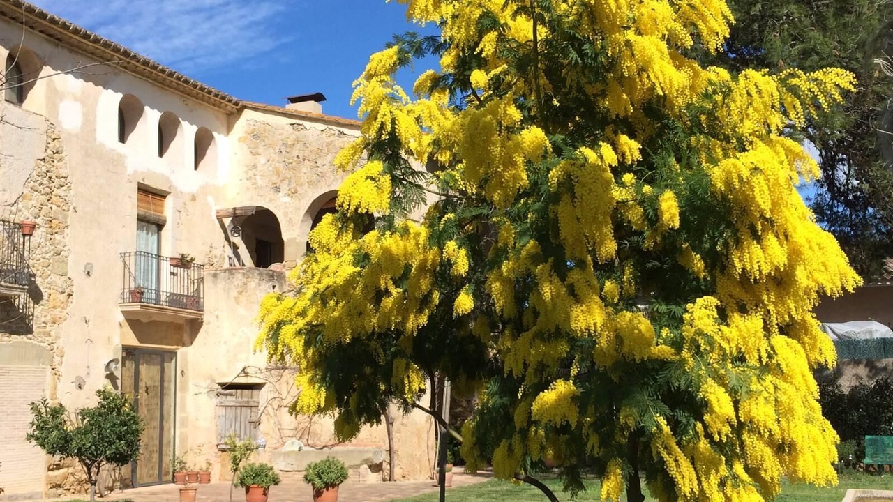 Photo of Outdoor in Corca