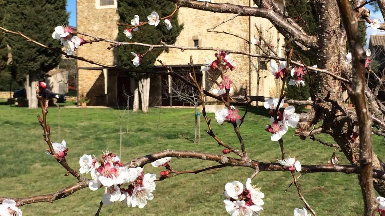 Photo of Outdoor in Corca
