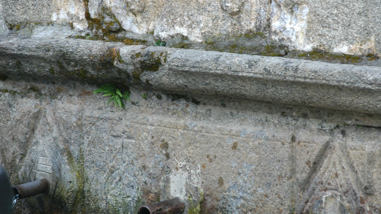 Photo of Others in Garganta la Olla