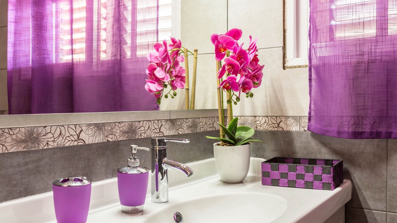 Photo of Bathroom in Arecida