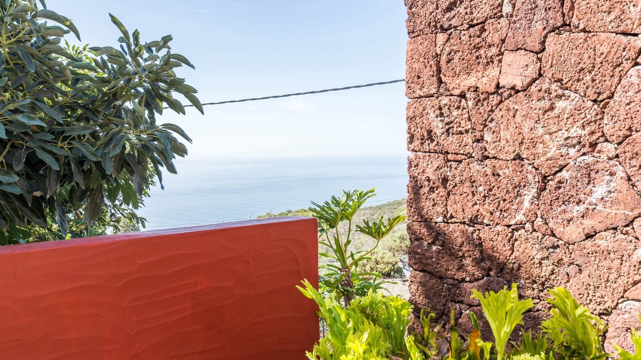 Photo of Outdoor in Arecida