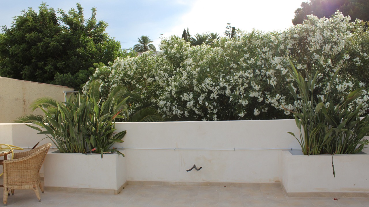 Photo of Others in Moravit