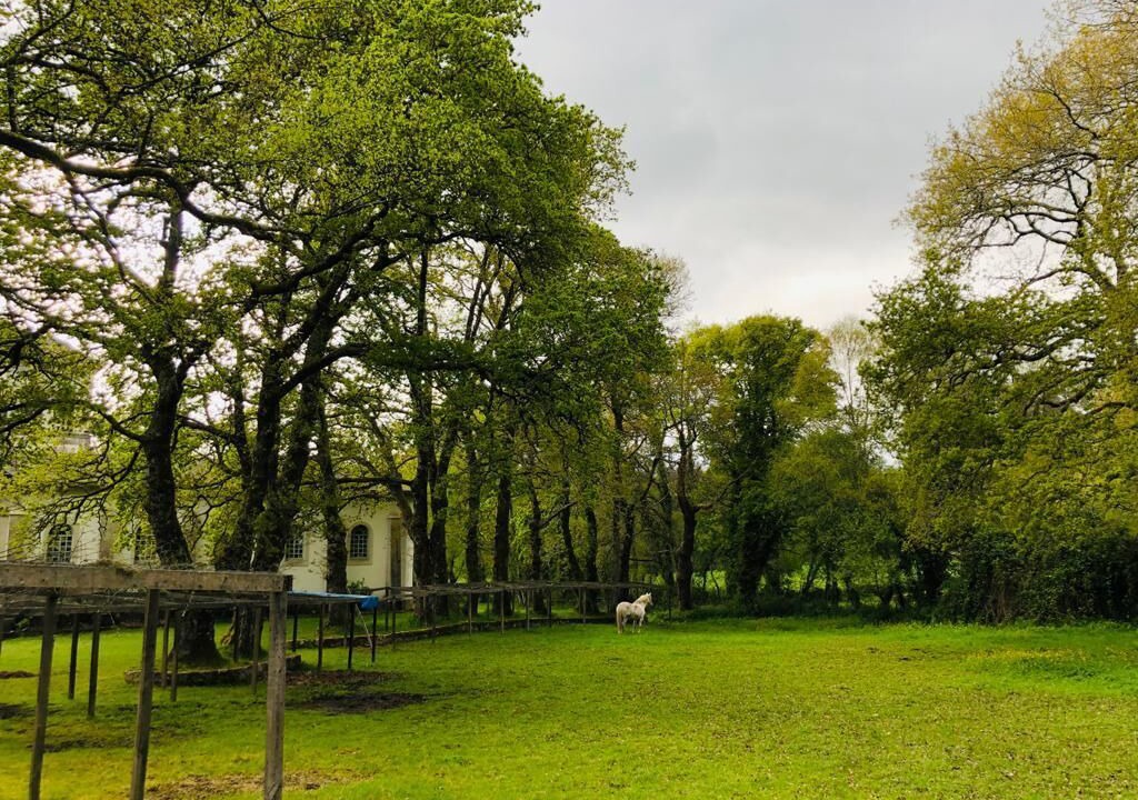 Photo of Outdoor in Lagostelle