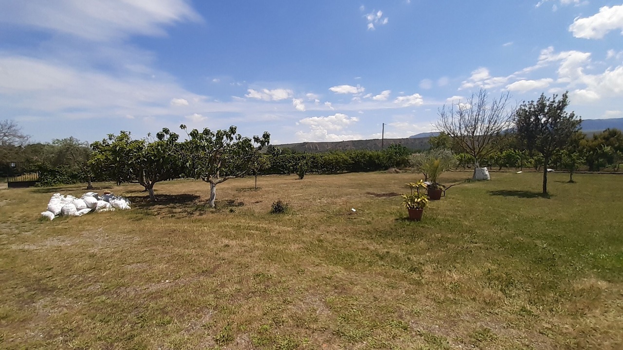 Photo of Outdoor in Lardero