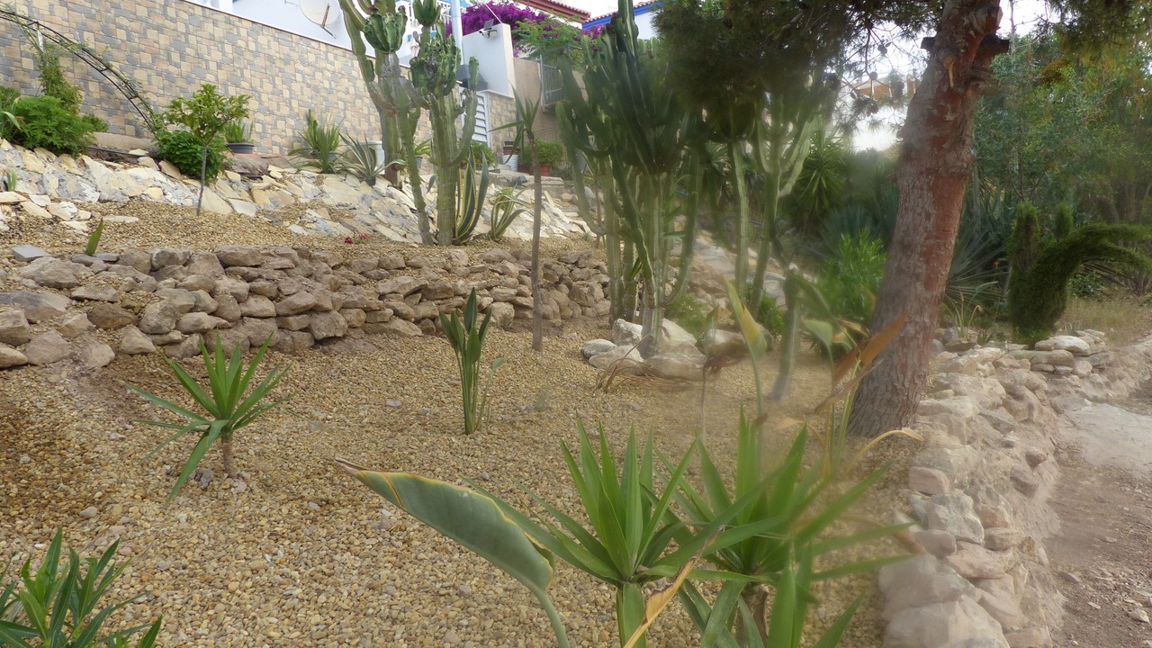 Photo of Outdoor in San Juan de los Terreros