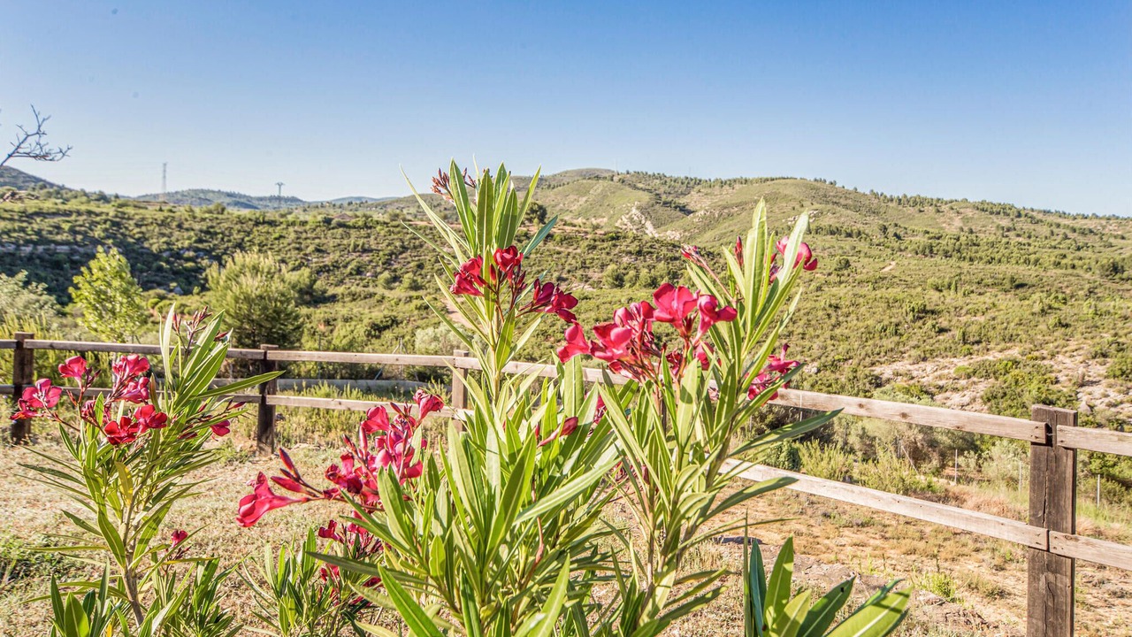 Photo of Others in Les Coves de Vinroma