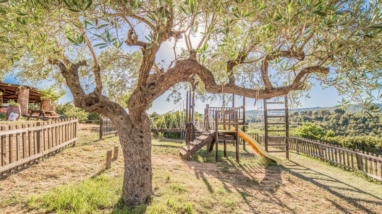 Photo of Outdoor in Les Coves de Vinroma