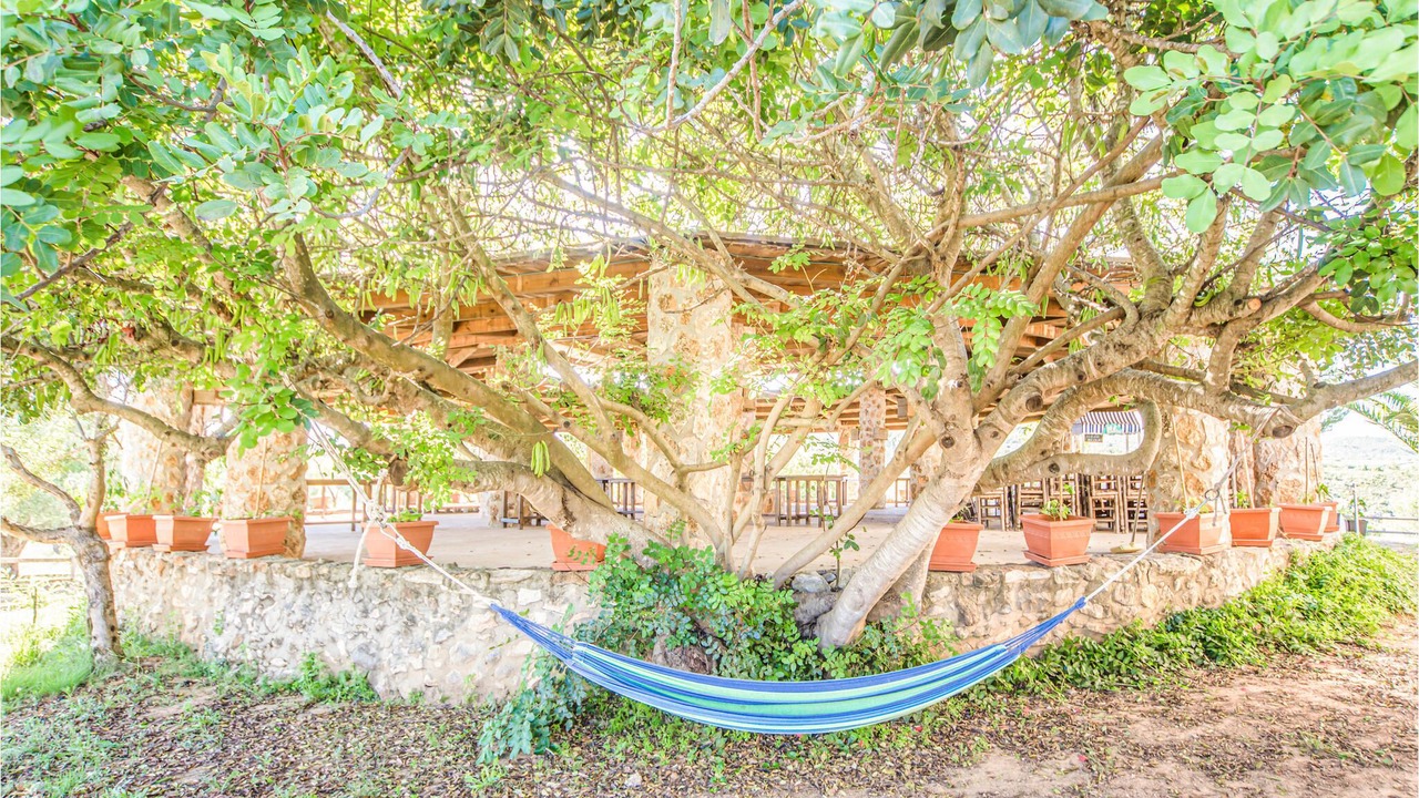 Photo of Outdoor in Les Coves de Vinroma