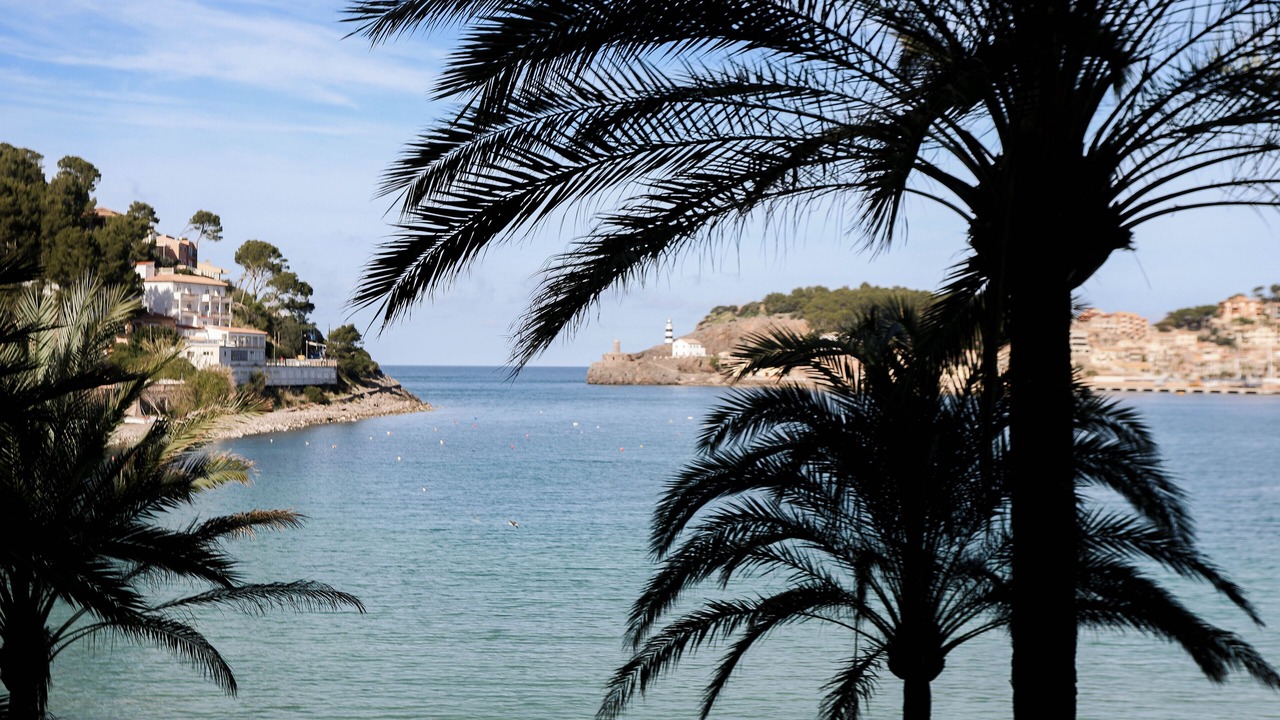 Photo of Others in Puerto de Soller