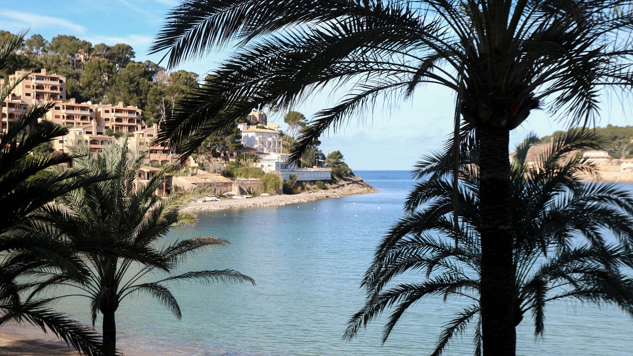 Photo of Others in Puerto de Soller