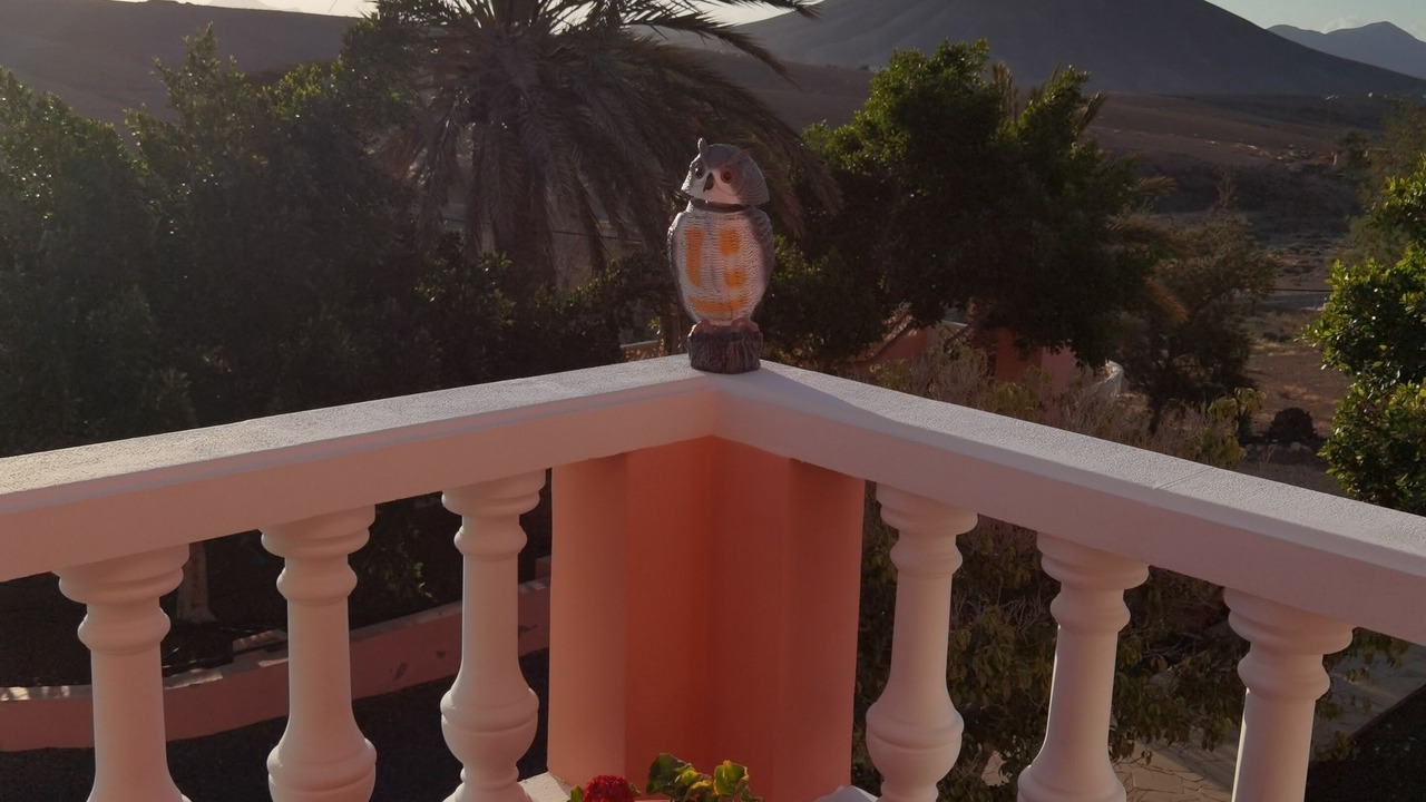 Photo of Outdoor in Tesejerague