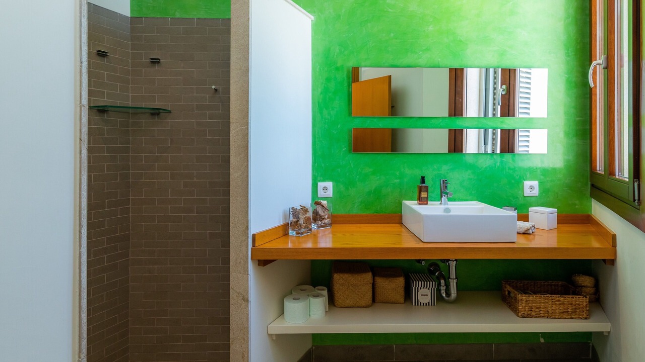 Photo of Bathroom in Betlem de Marina