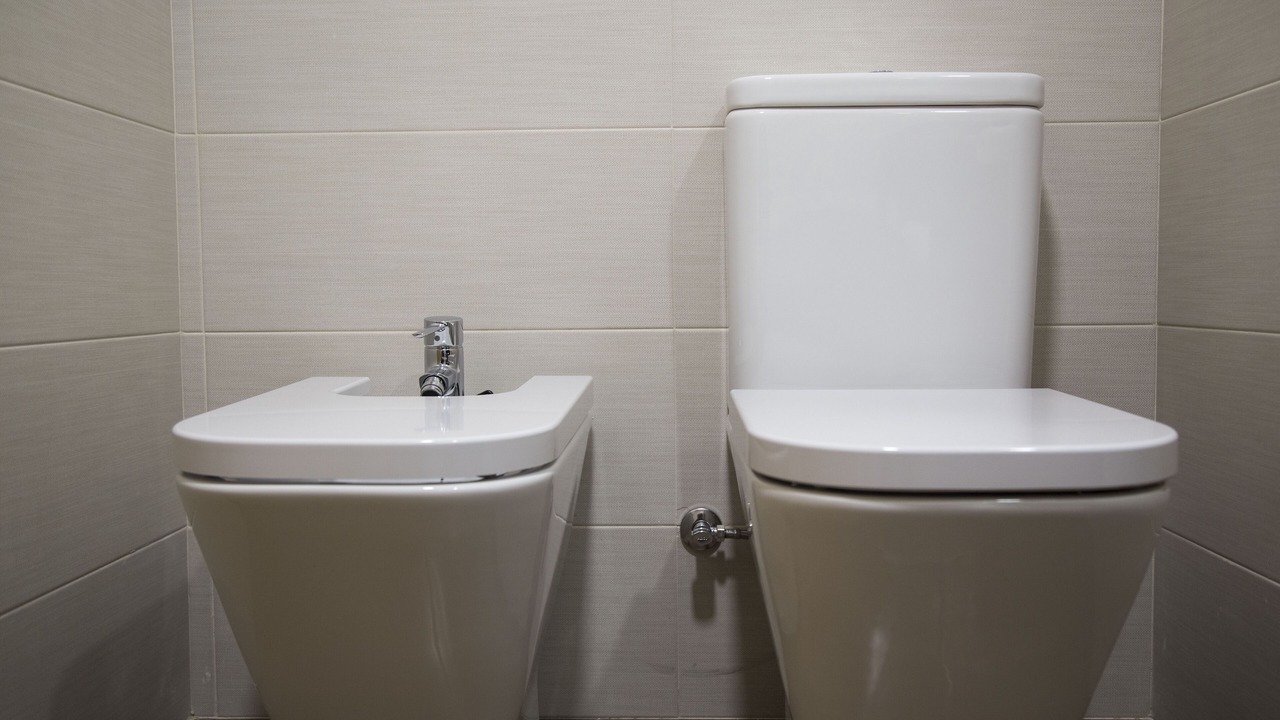 Photo of Bathroom in Lloret Town Center