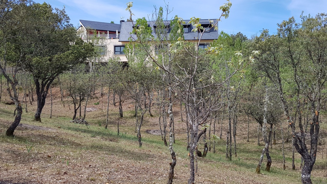 Photo of Outdoor in Castillejo de Mesleon