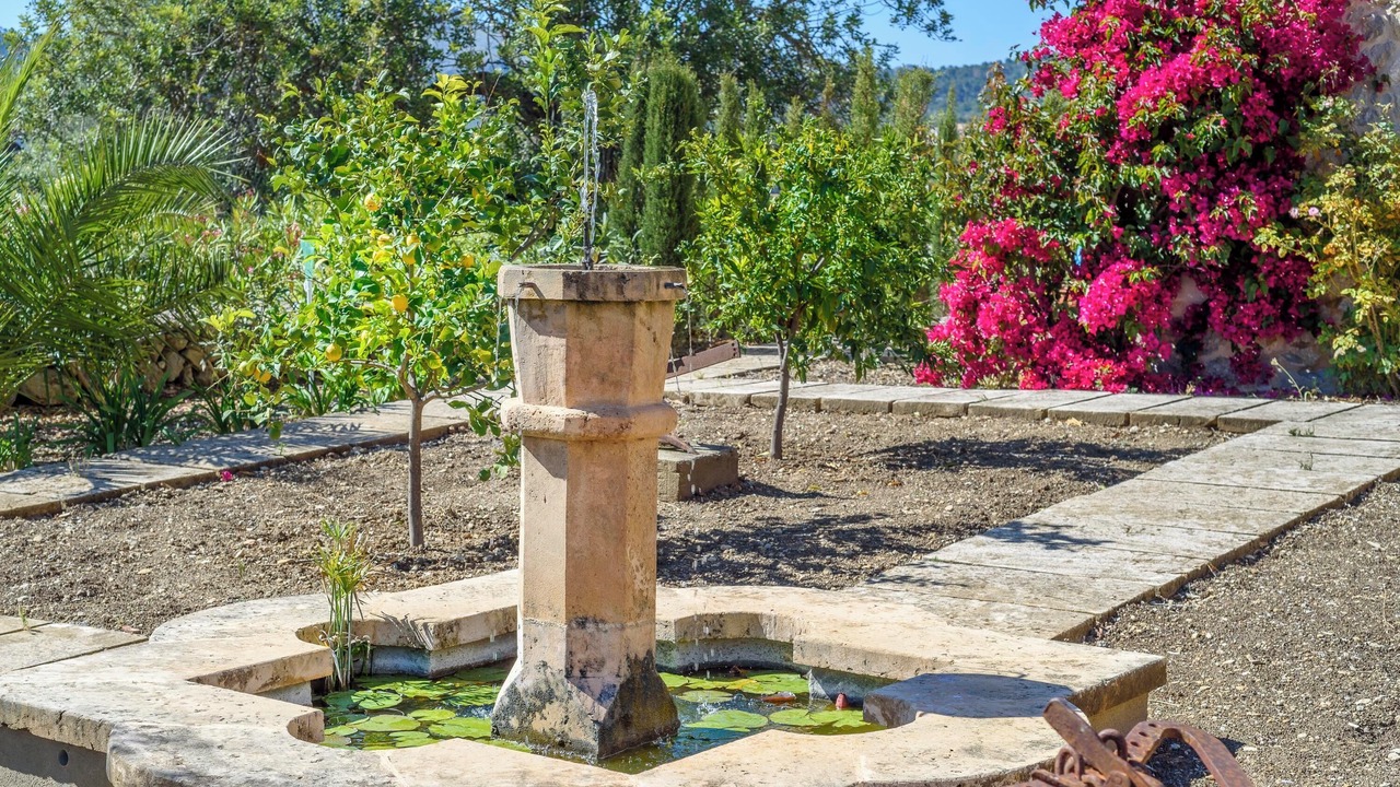 Photo of Outdoor in Calvia