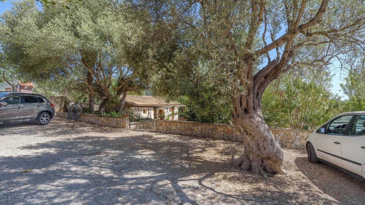 Photo of Outdoor in Calvia