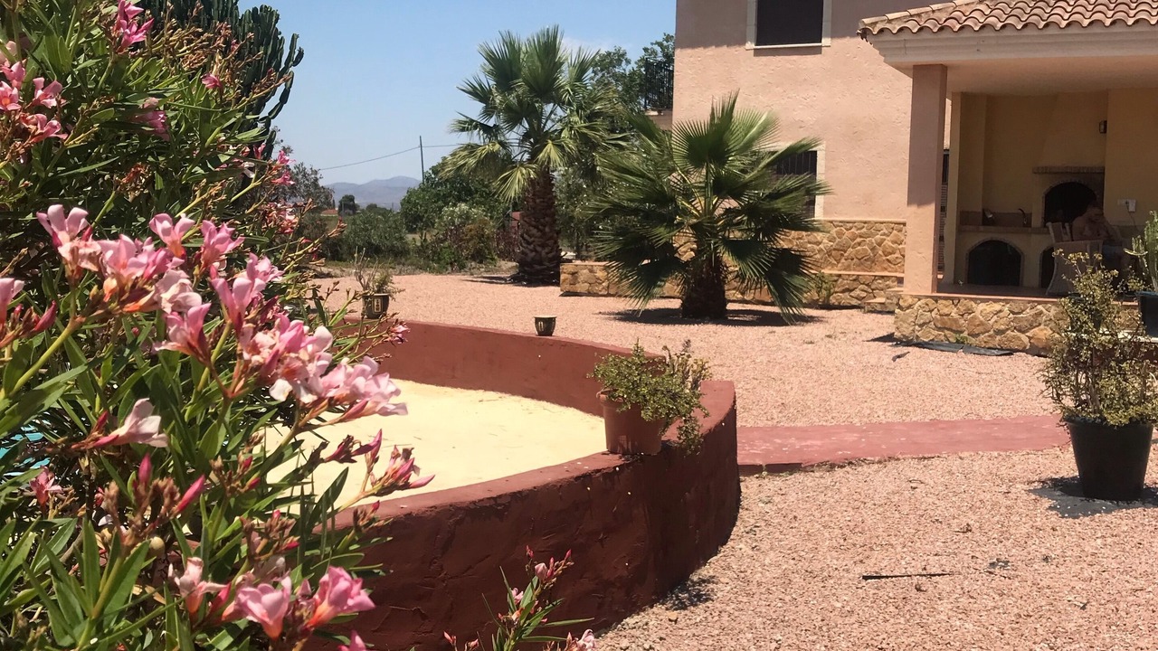 Photo of Outdoor in Daya Nueva