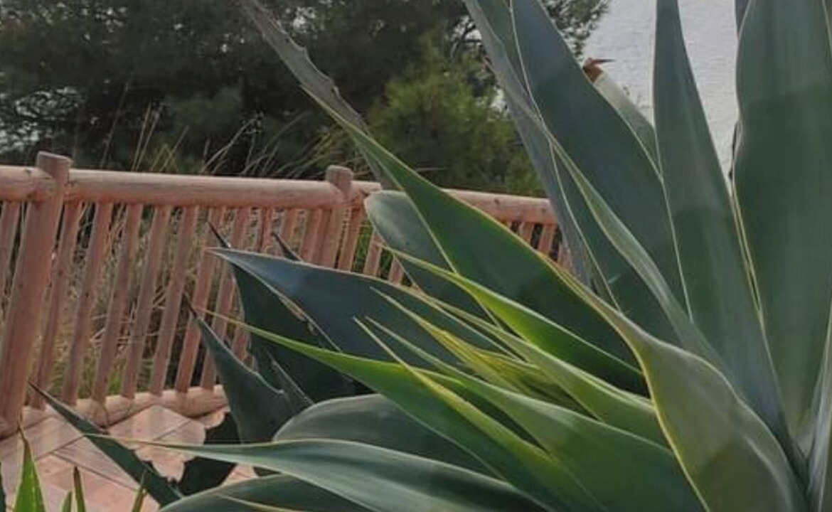 Photo of Outdoor in Orihuela Costa