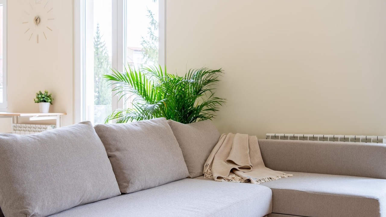 Photo of Livingroom in Leon