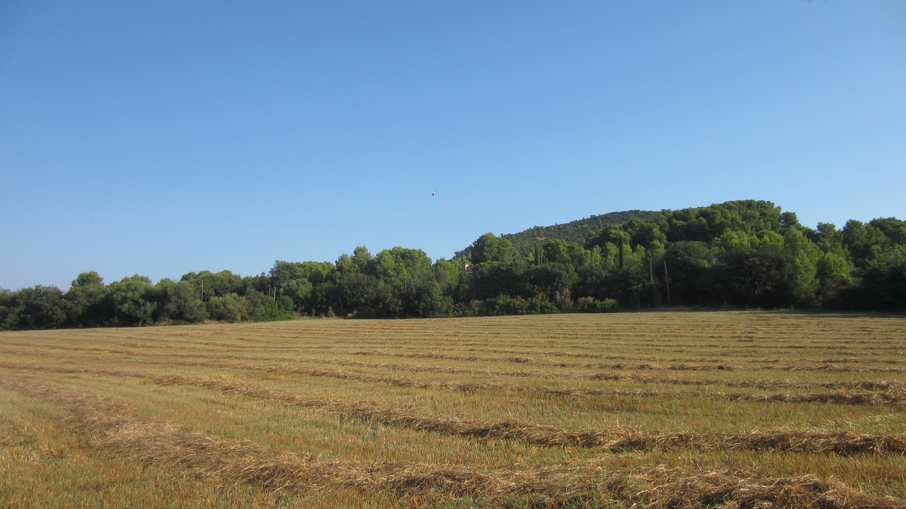 Photo of Outdoor in Regencos