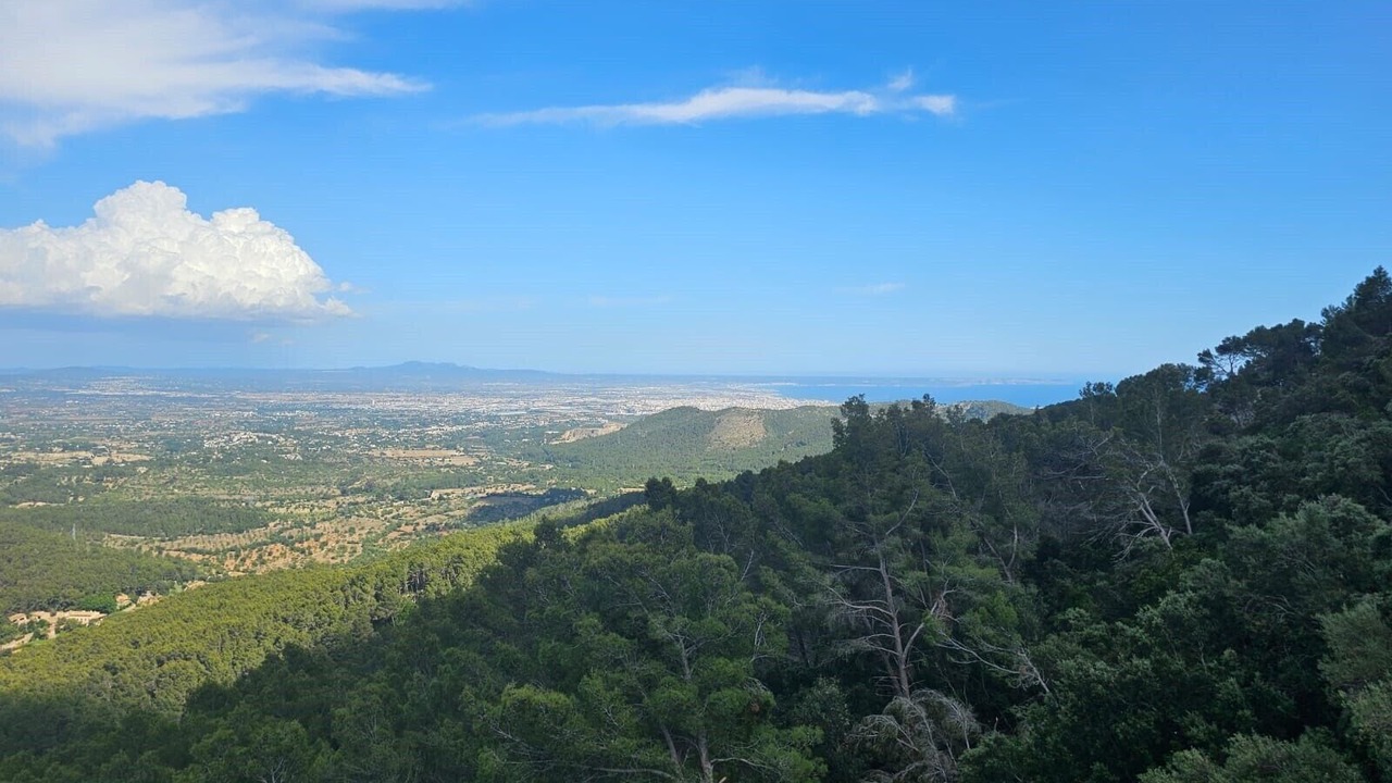 Photo of Others in Esporles