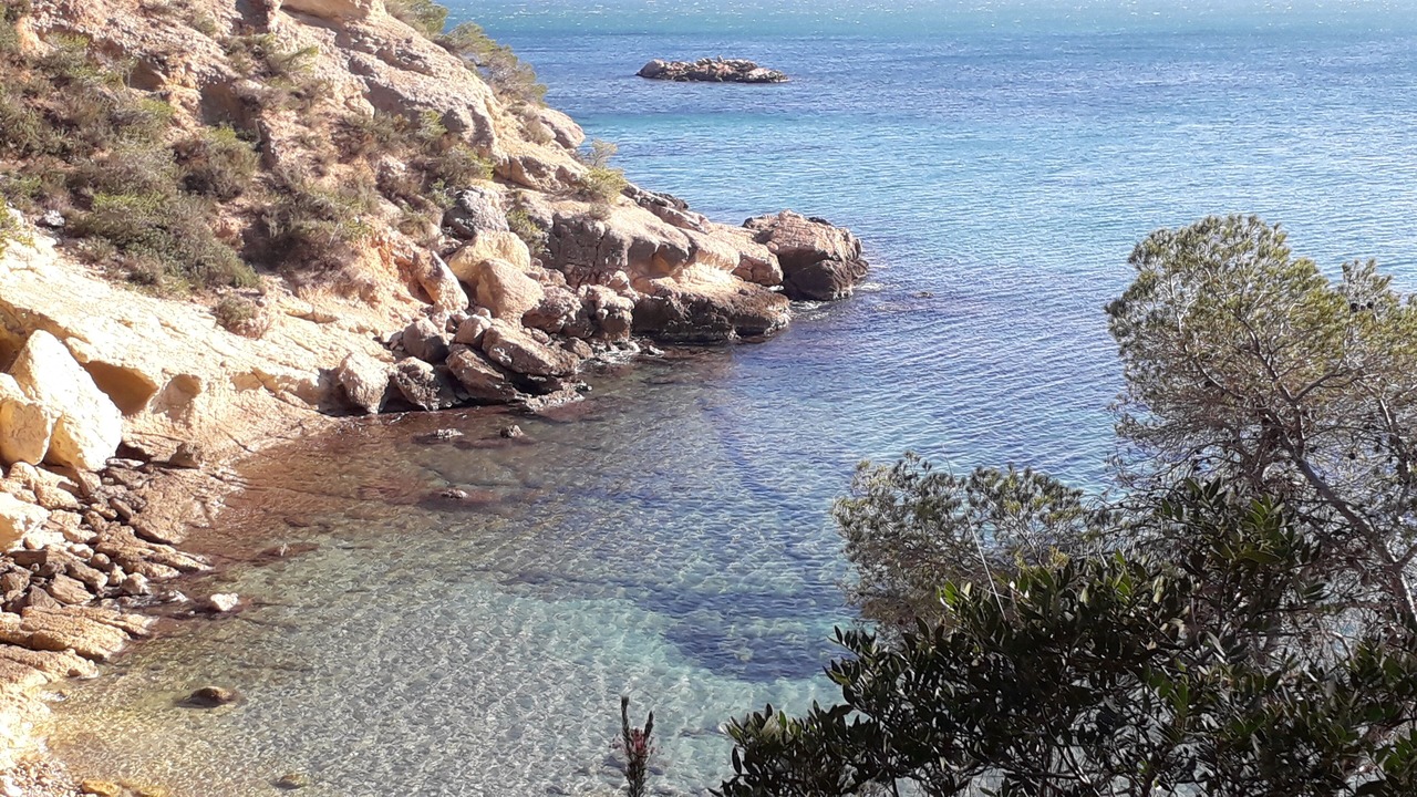 Photo of Others in Torrevieja