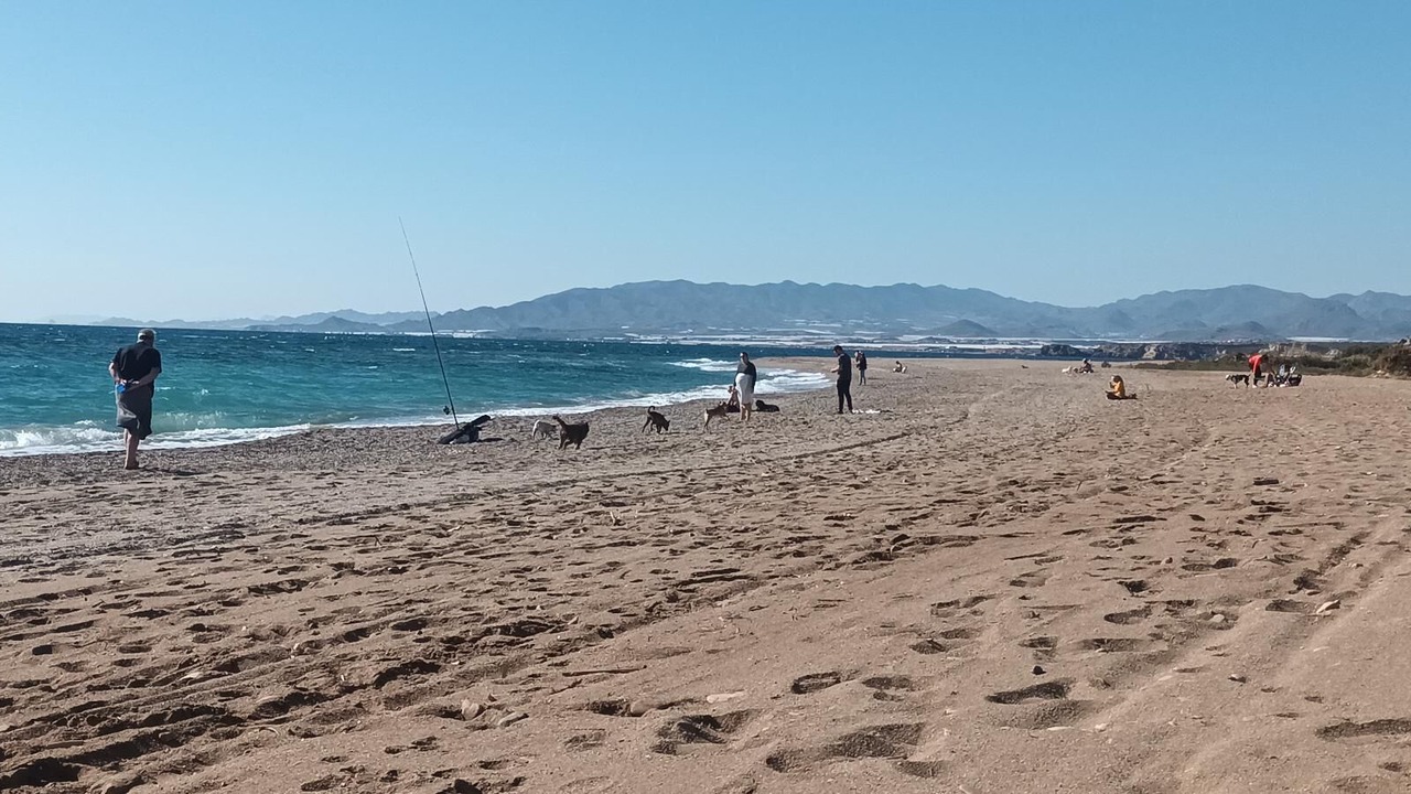 Photo of Others in Puerto de Mazarron