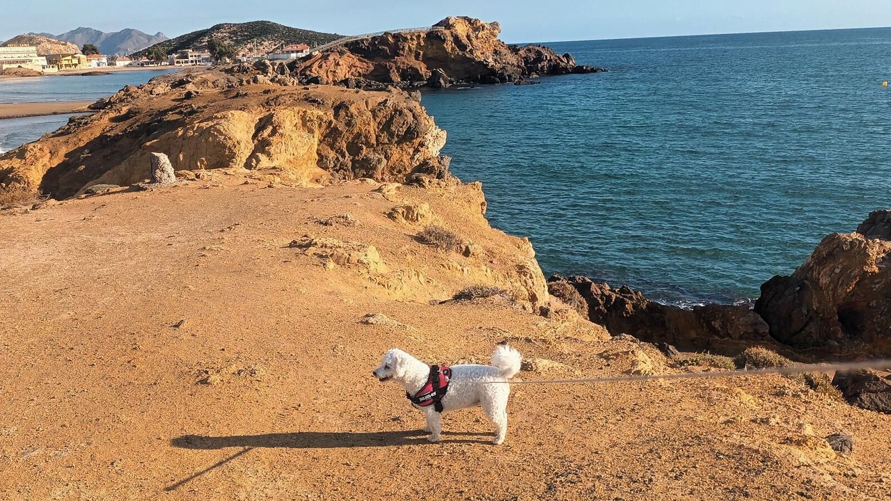Photo of Others in Puerto de Mazarron