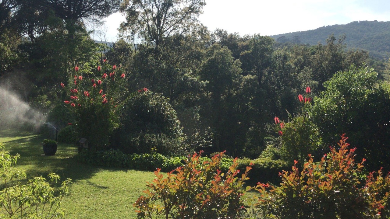 Photo of Outdoor in Santa Cristina de Aro