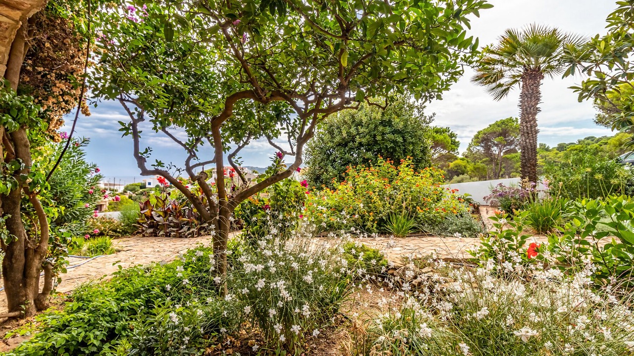 Photo of Outdoor in Port de la Selva