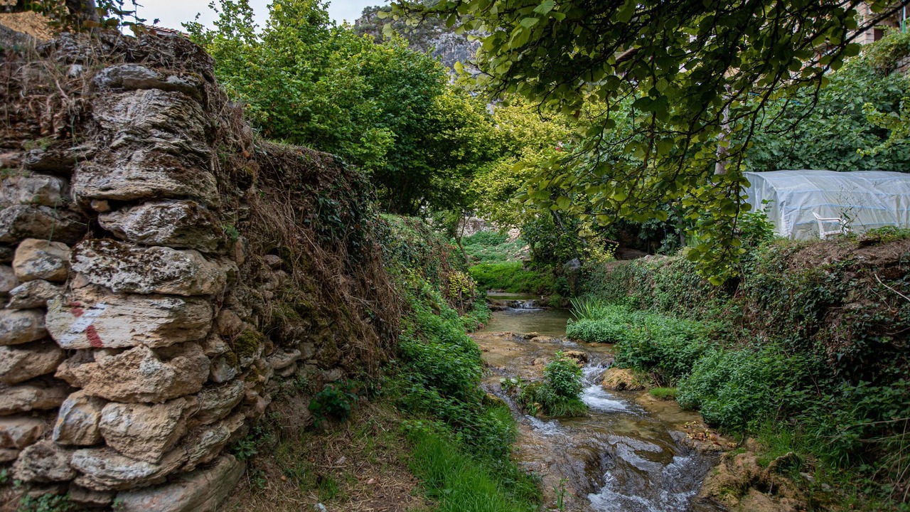 Photo of Others in Tobera
