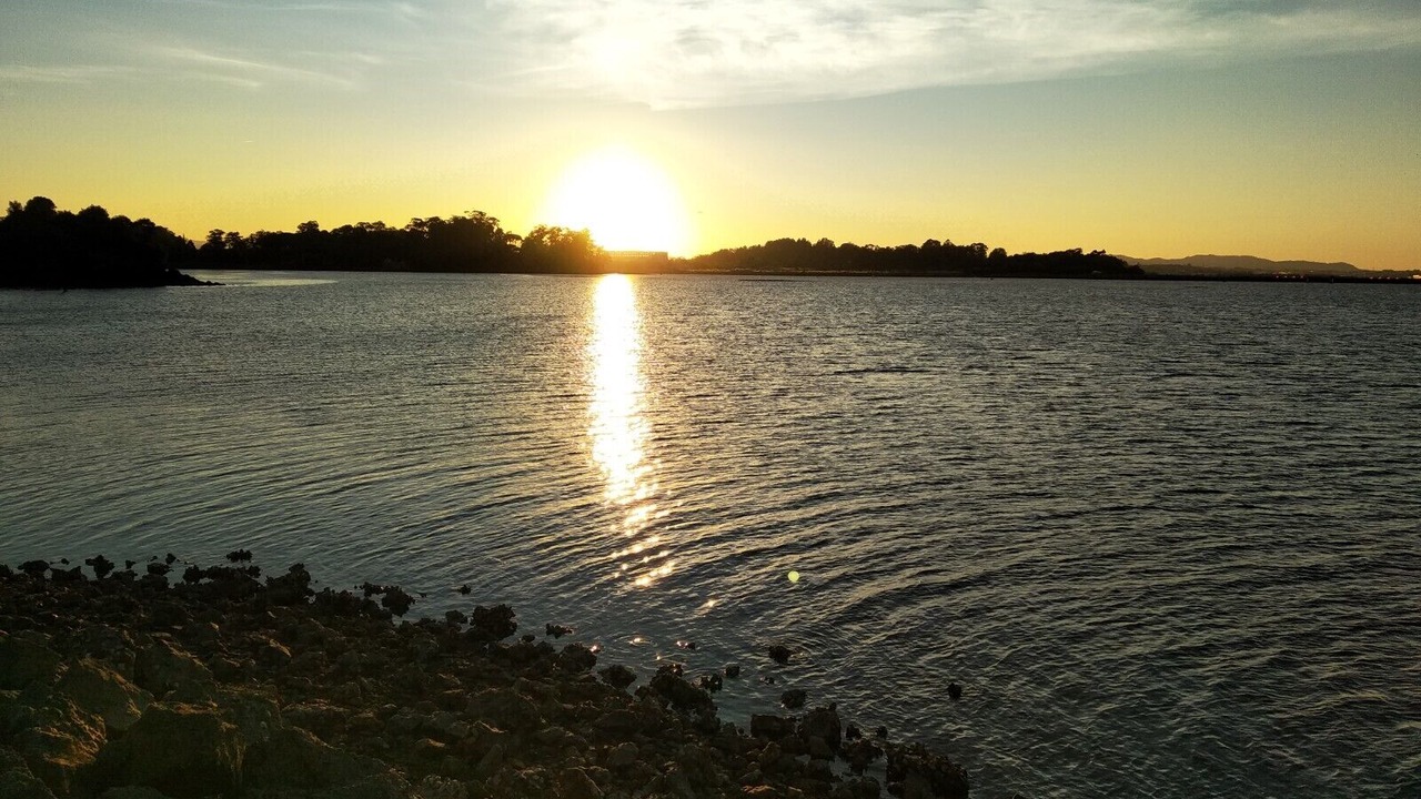 Photo of Others in Marina de Cudeyo