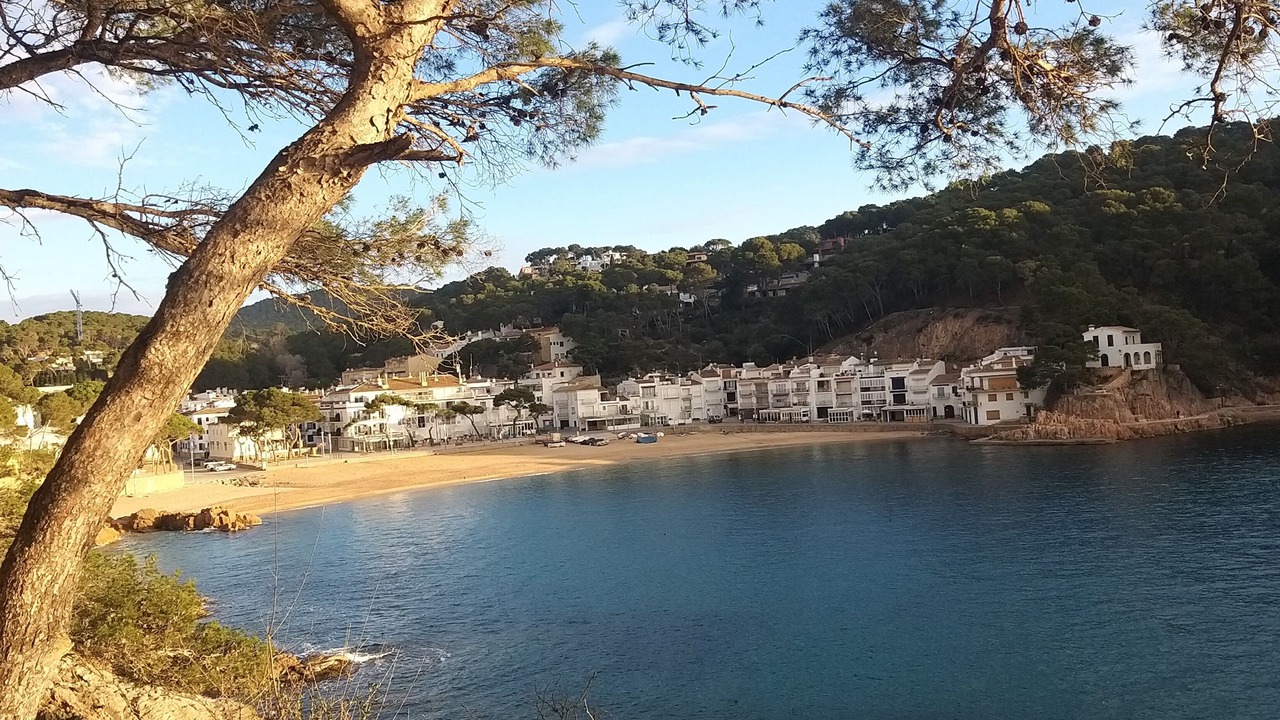 Photo of Others in Tamariu