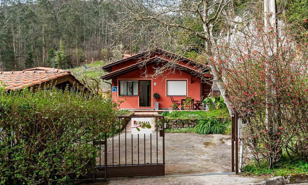 Photo of Outdoor in Ribadesella