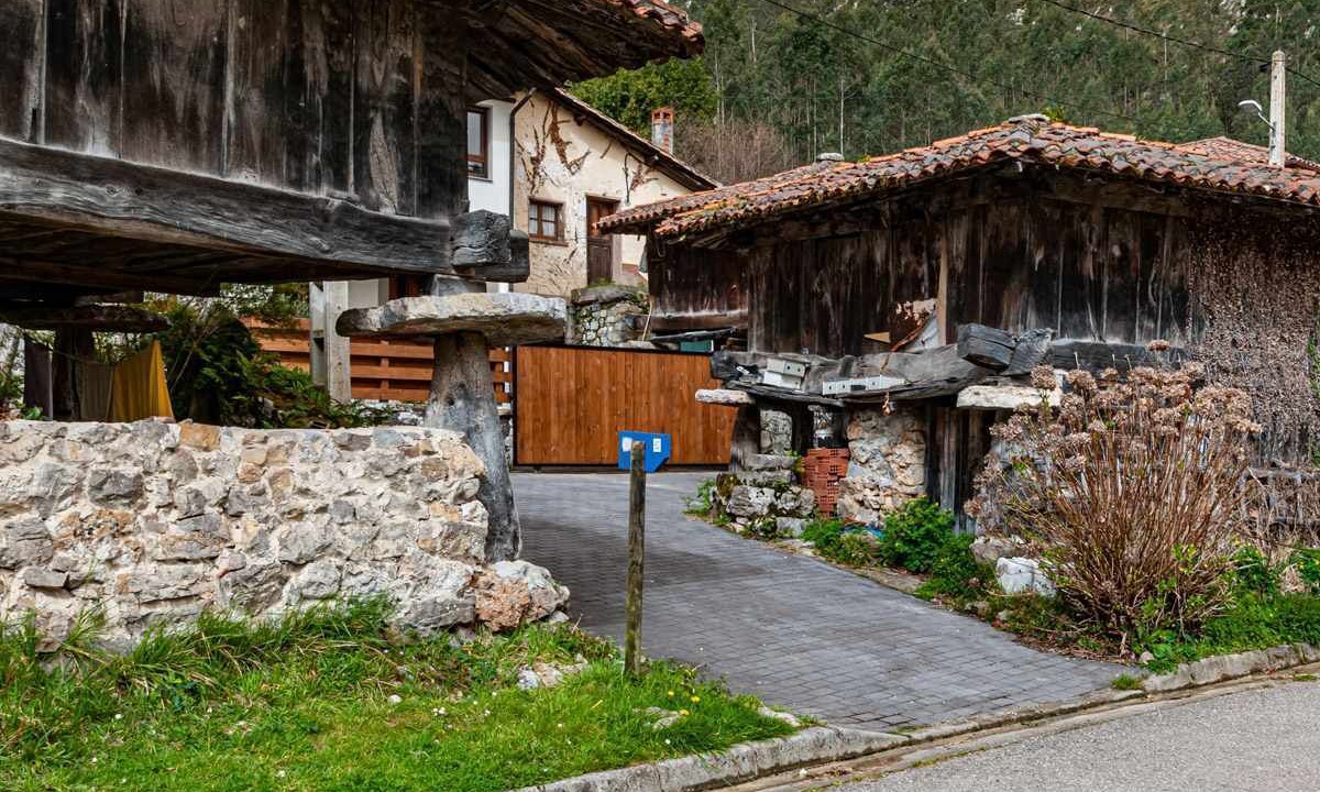 Photo of Outdoor in Ribadesella