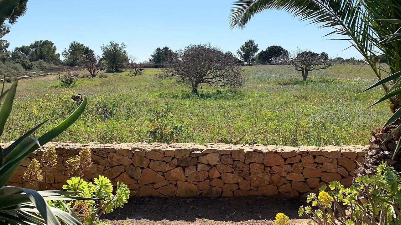 Photo of Outdoor in Sant Francesc Xavier