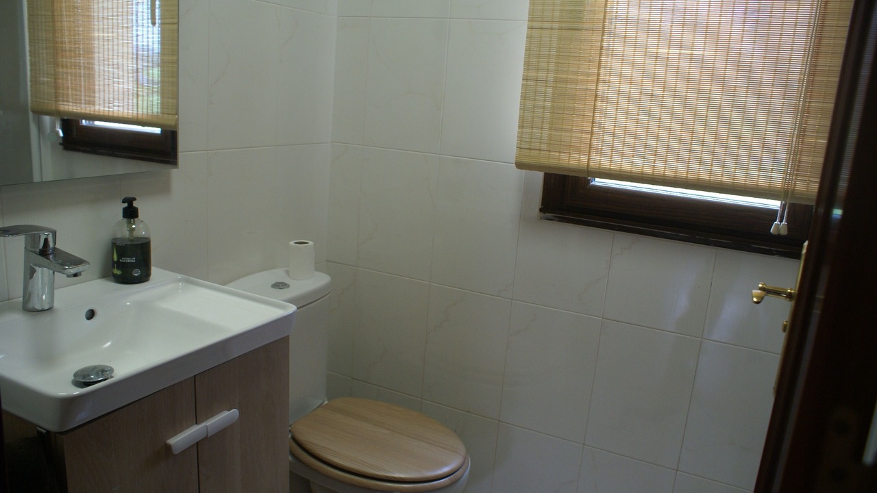 Photo of Bathroom in Soto de las Duenas