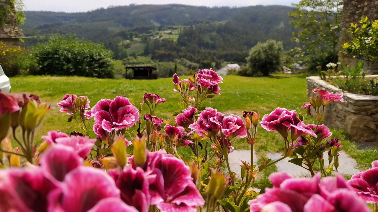 Photo of Outdoor in Ortigueira