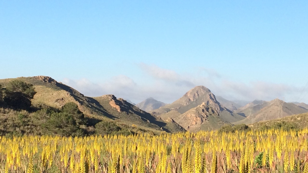 Photo of Outdoor in Los Geraeos