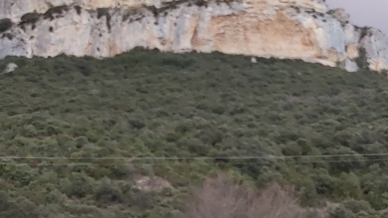 Photo of Others in Allin