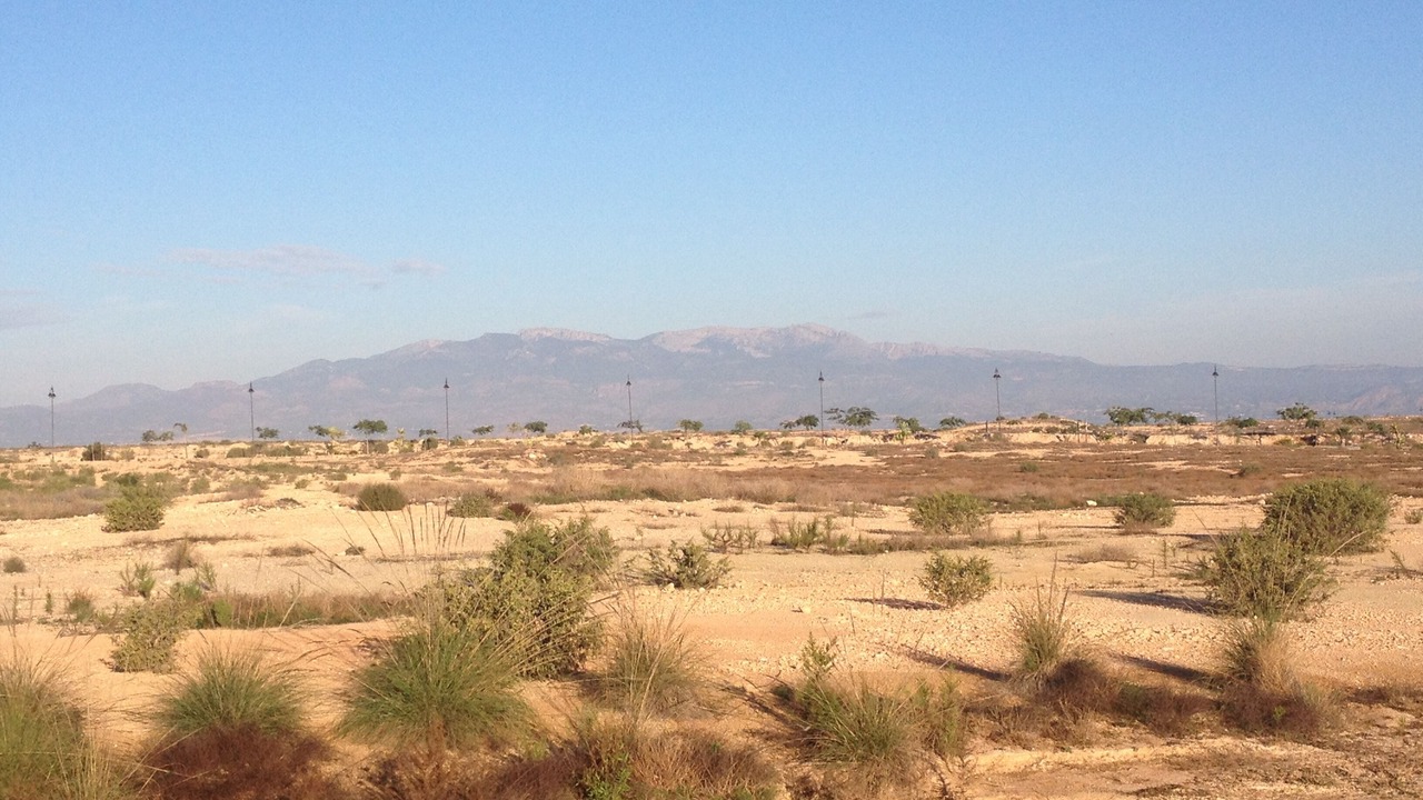 Photo of Others in Alhama de Murcia