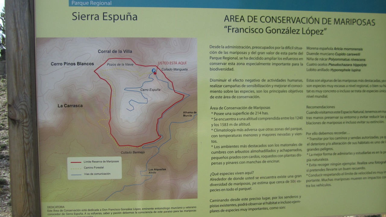 Photo of Others in Alhama de Murcia