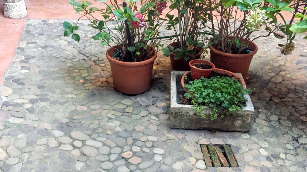 Photo of Outdoor in Castrillo de San Pelayo