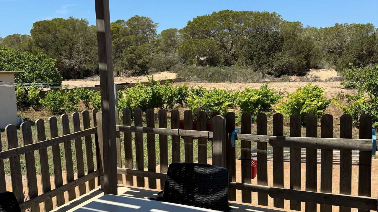 Photo of Outdoor in Calo de Sant Agusti