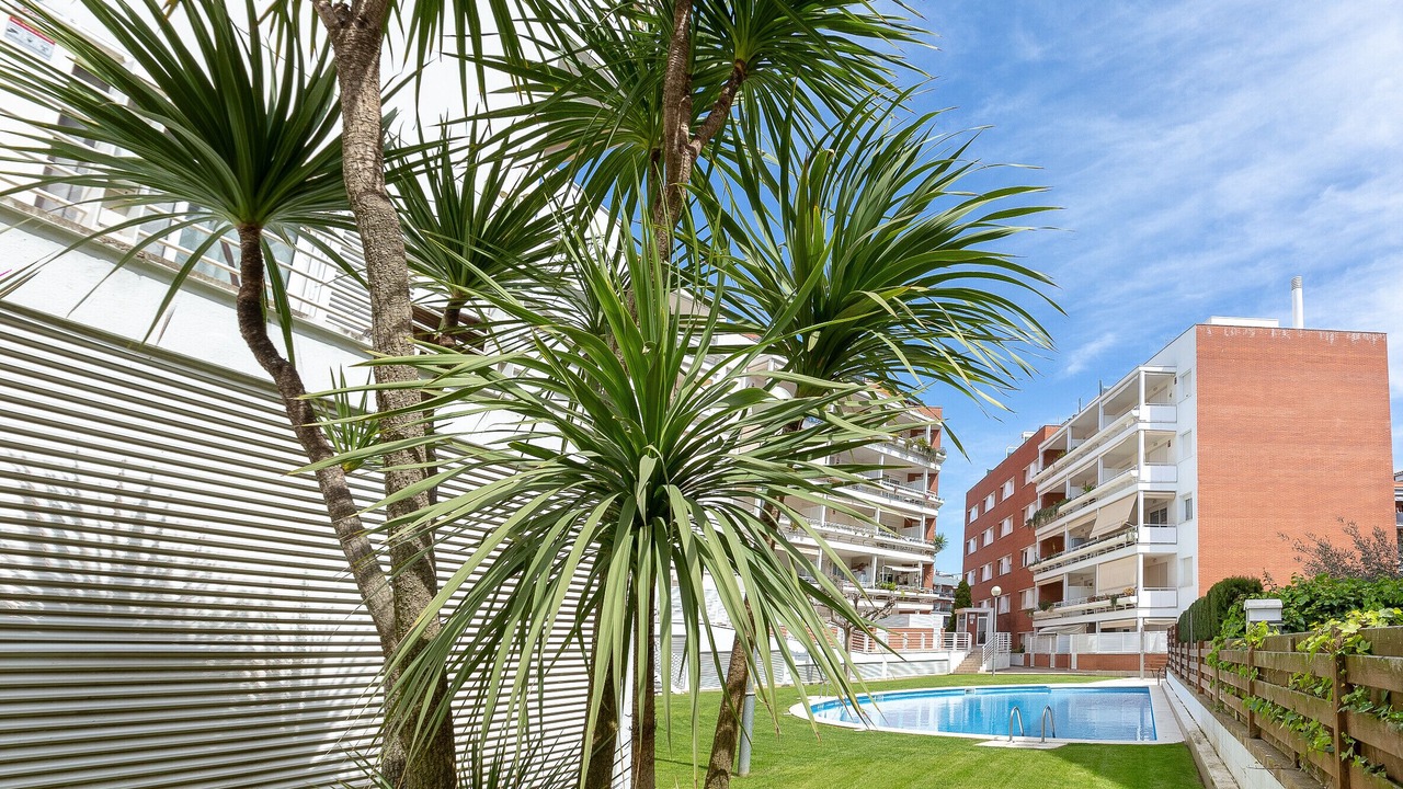 Photo of Others in Lloret de Mar
