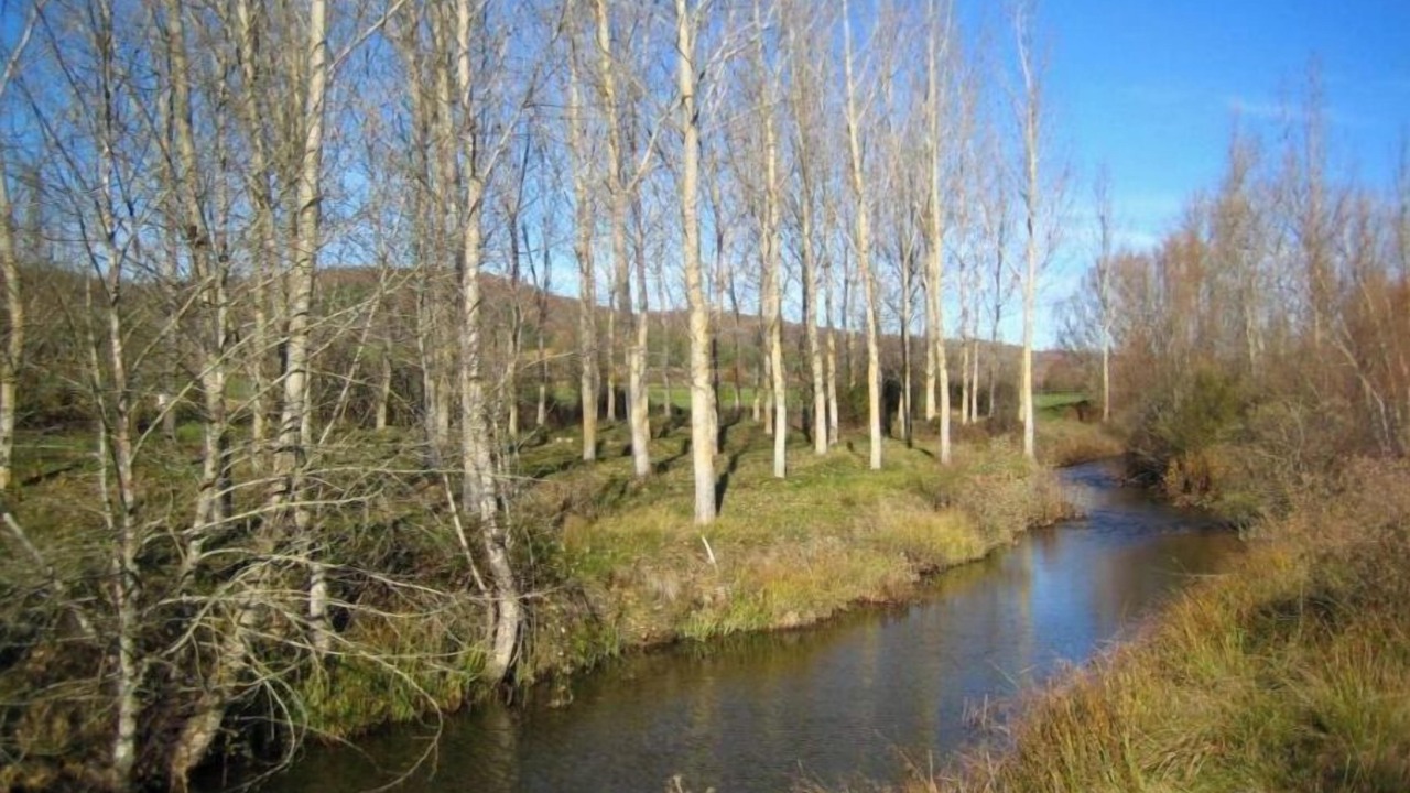 Photo of Others in Gradefes