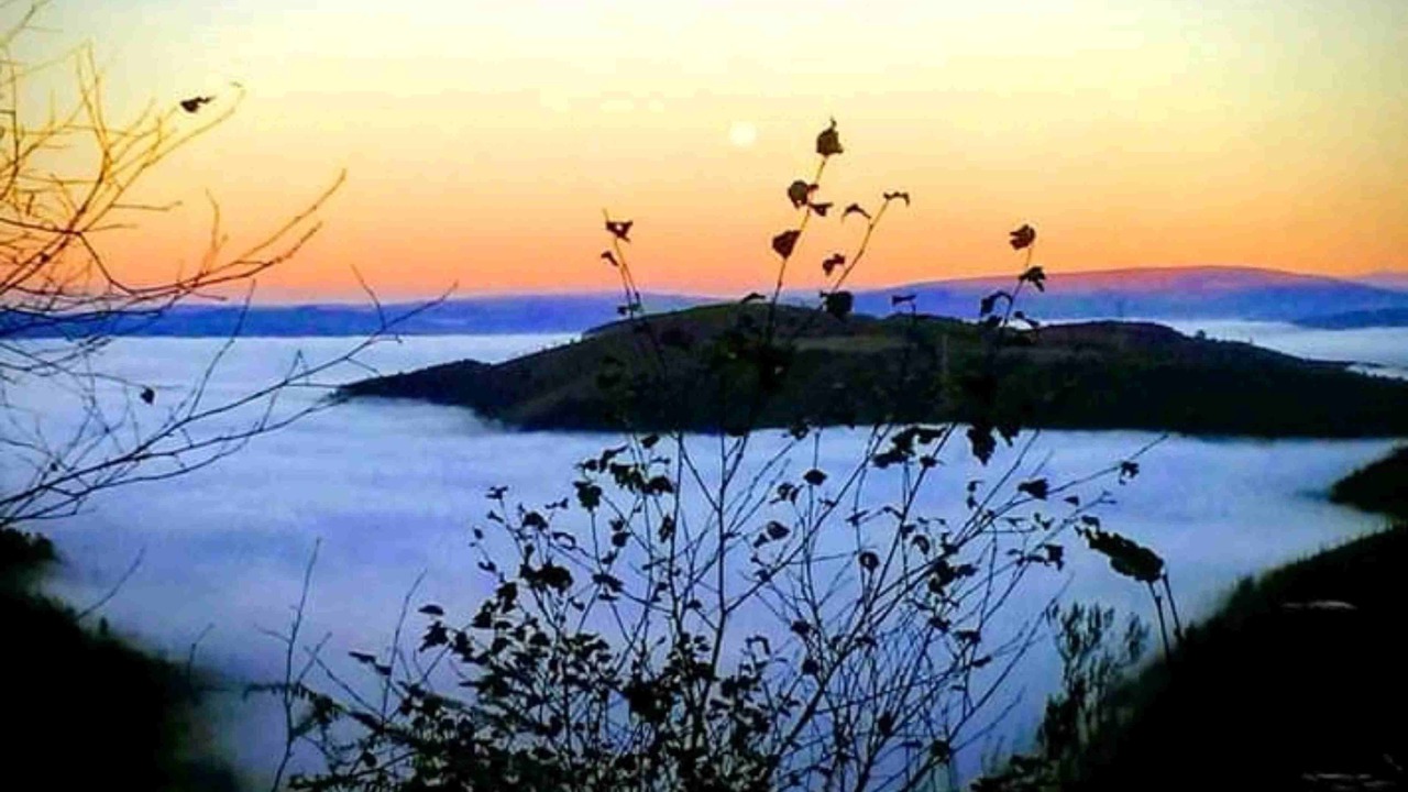 Photo of Outdoor in Aldeguer