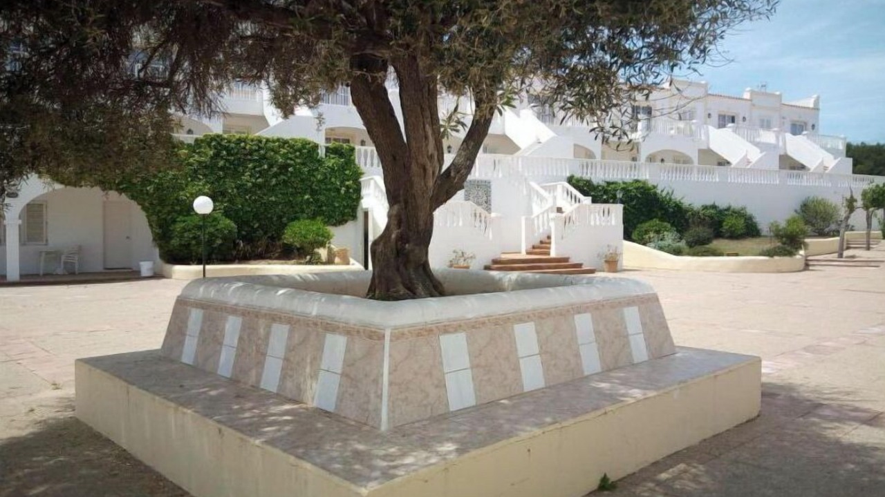 Photo of Outdoor in Arenal d'en Castell