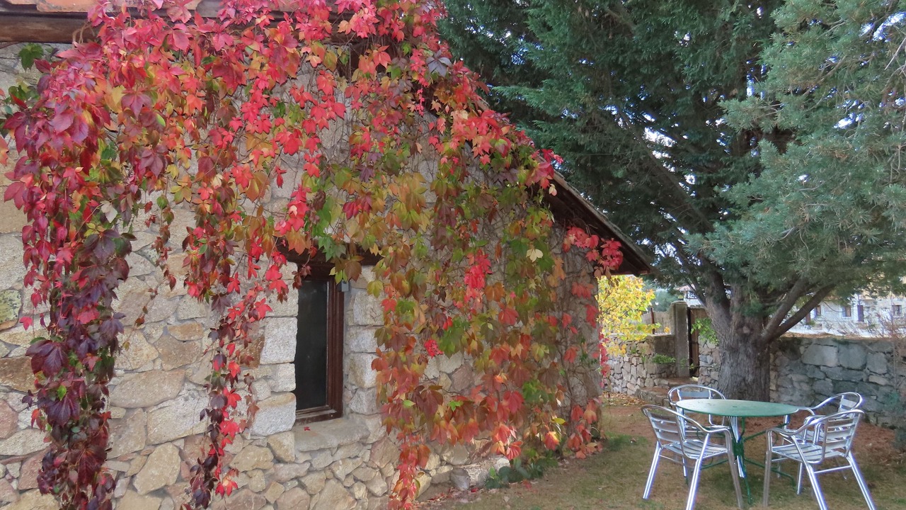 Photo of Outdoor in Hoyos del Espino